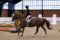 HSM_2617
