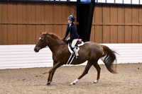 HSM_2618