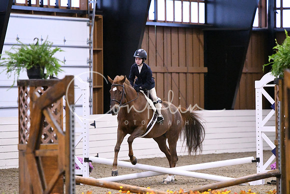 HSM_2620