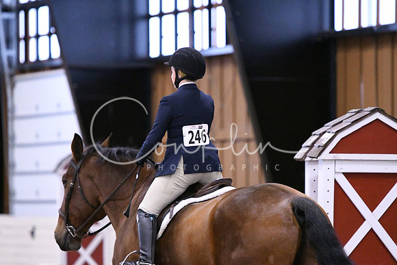 HSM_2431