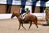 HSM_2611