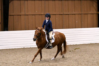 HSM_2595