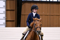 HSM_2596