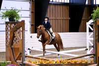 HSM_2599