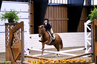 HSM_2604