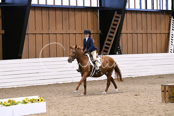 HSM_2708