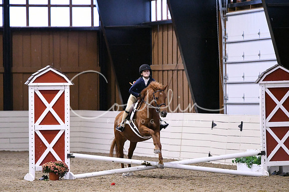 HSM_2703