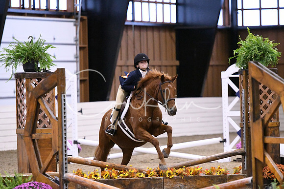 HSM_2764