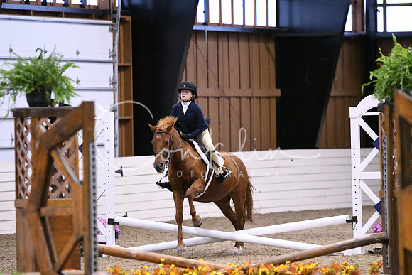 HSM_2768