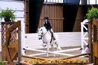 HSM_2642