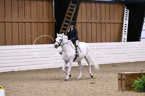 HSM_2643