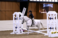 HSM_2645