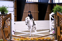 HSM_2648