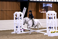 HSM_2651
