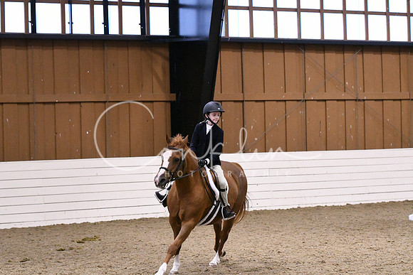 HSM_2582