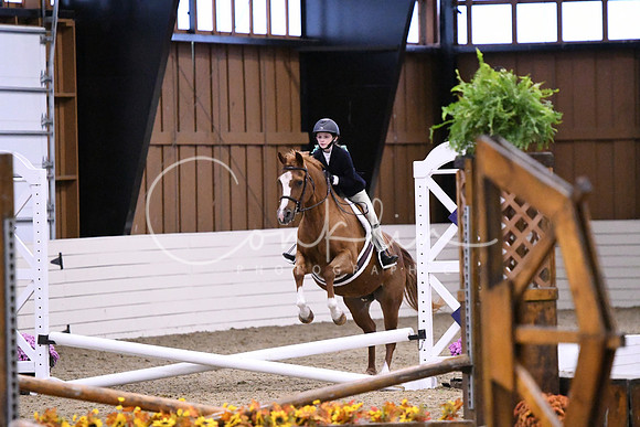 HSM_2584