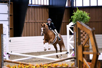 HSM_2585