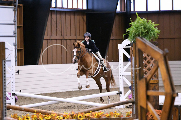 HSM_2585