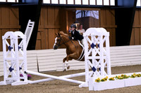 HSM_2586