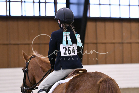 HSM_2675