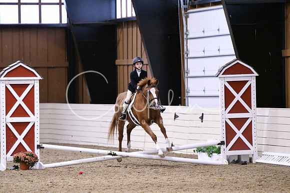 HSM_2681