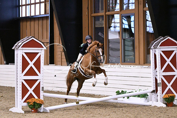 HSM_2682