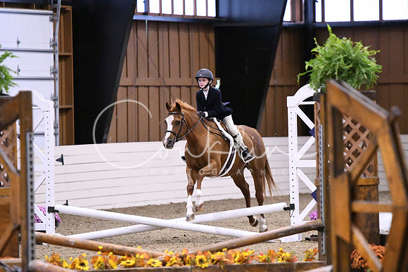 HSM_2786
