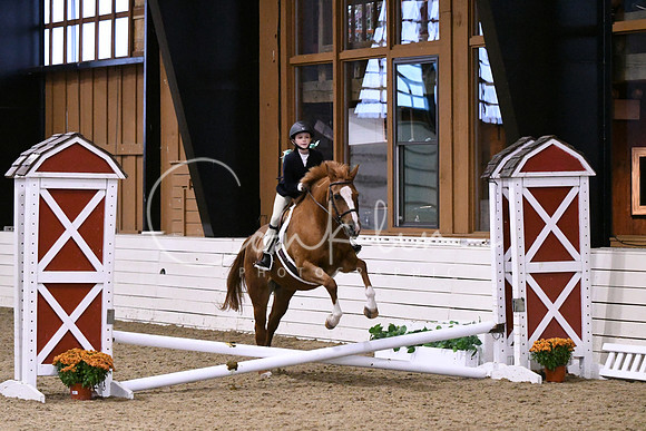 HSM_2795