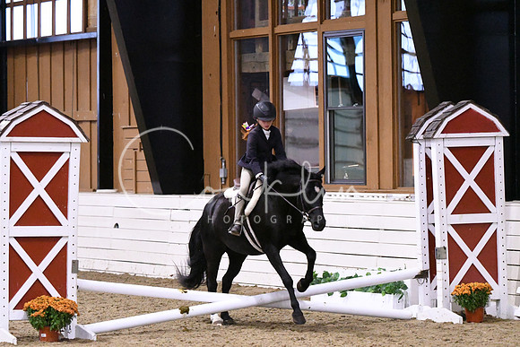 HSM_2748