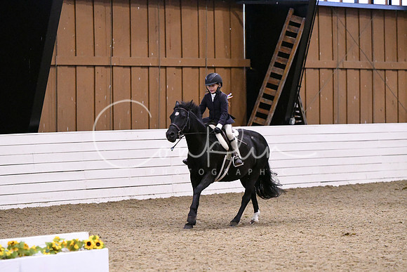 HSM_2752