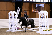 HSM_2753