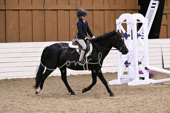 HSM_2838