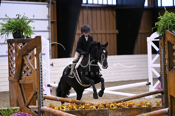 HSM_2824