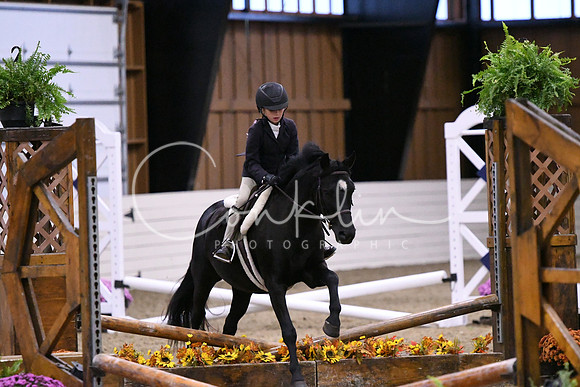 HSM_2825