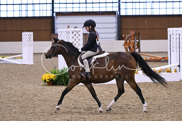 HSM_2521