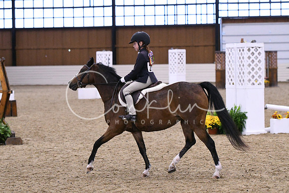 HSM_2522
