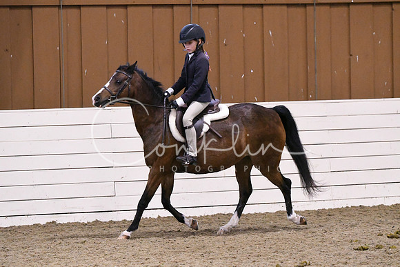 HSM_2524