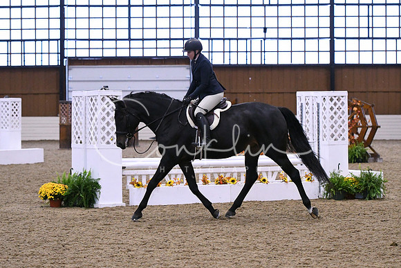 HSM_0547