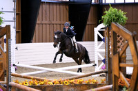 HSM_2665
