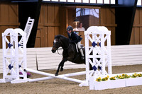 HSM_2667