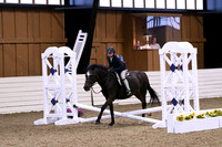 HSM_2662