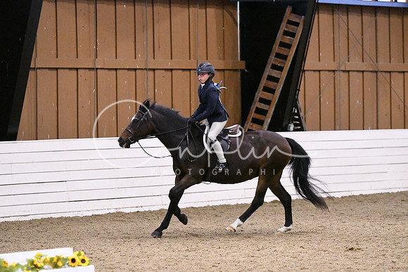 HSM_2719