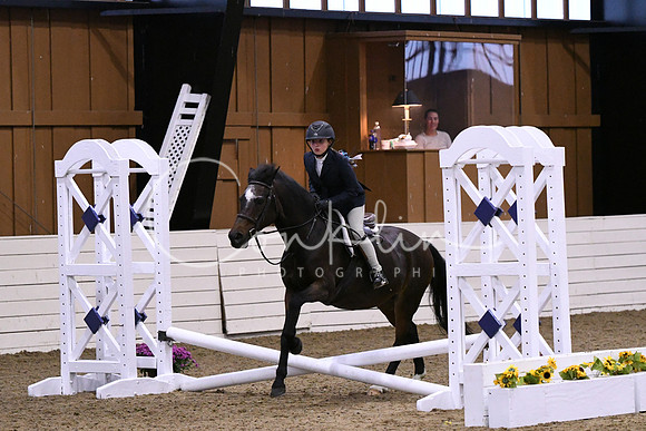 HSM_2731