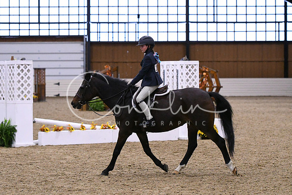 HSM_2736