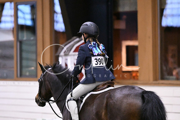 HSM_2803
