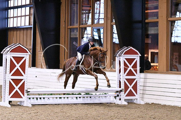 HSM_0087