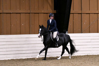 HSM_0166
