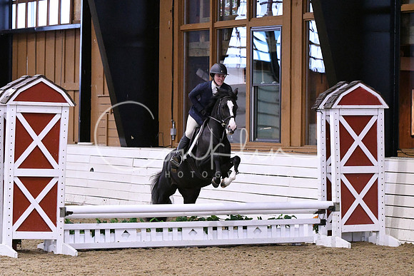 HSM_0262