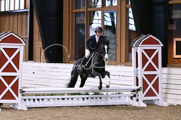 HSM_0263