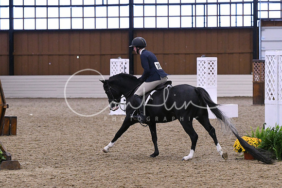 HSM_0270